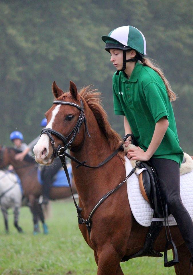 DSP Nyholms Sinatra billede 2