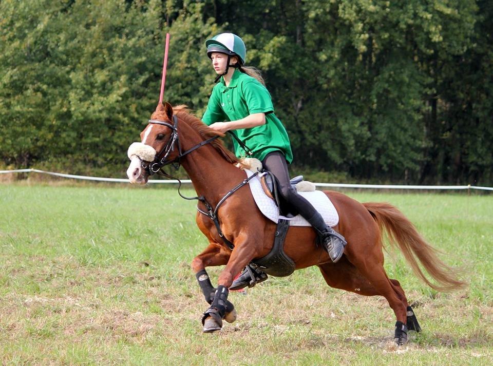 DSP Nyholms Sinatra billede 9