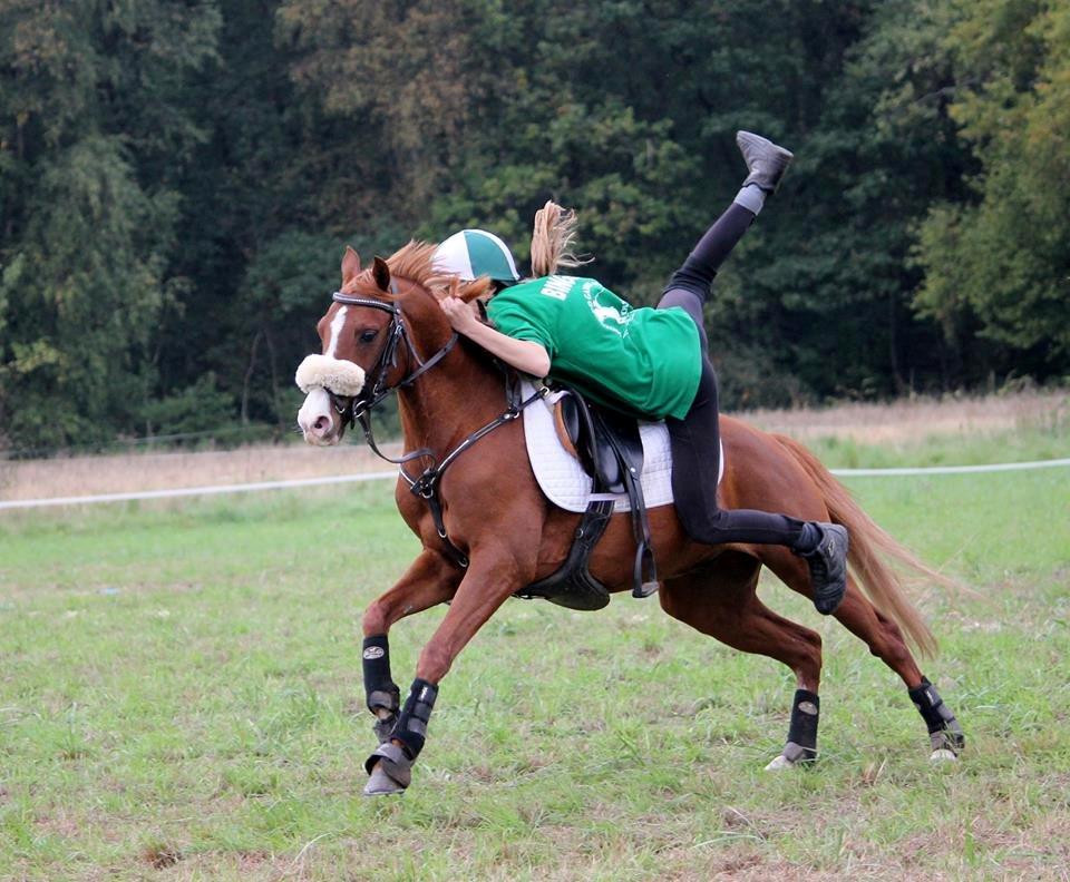 DSP Nyholms Sinatra billede 7