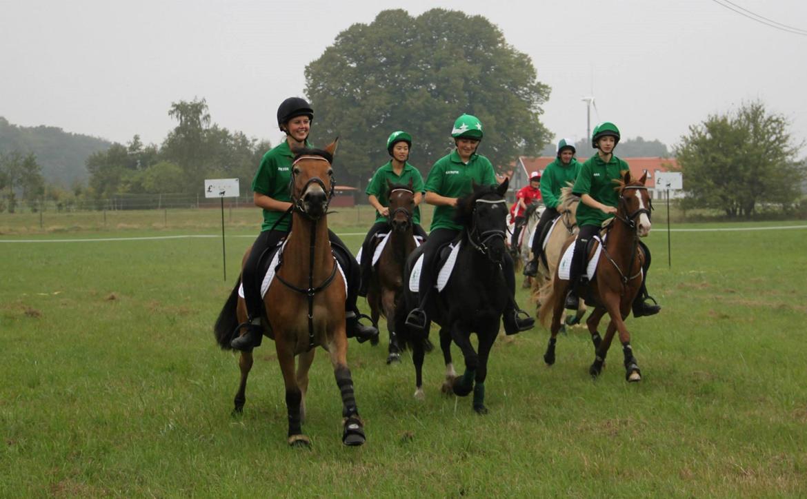 DSP Nyholms Sinatra billede 5