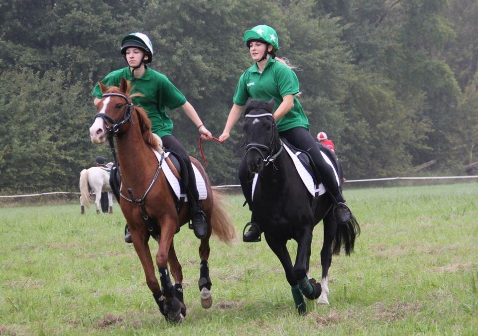 DSP Nyholms Sinatra billede 10