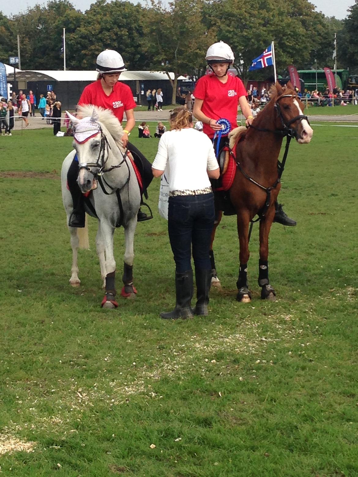 DSP Nyholms Sinatra billede 27