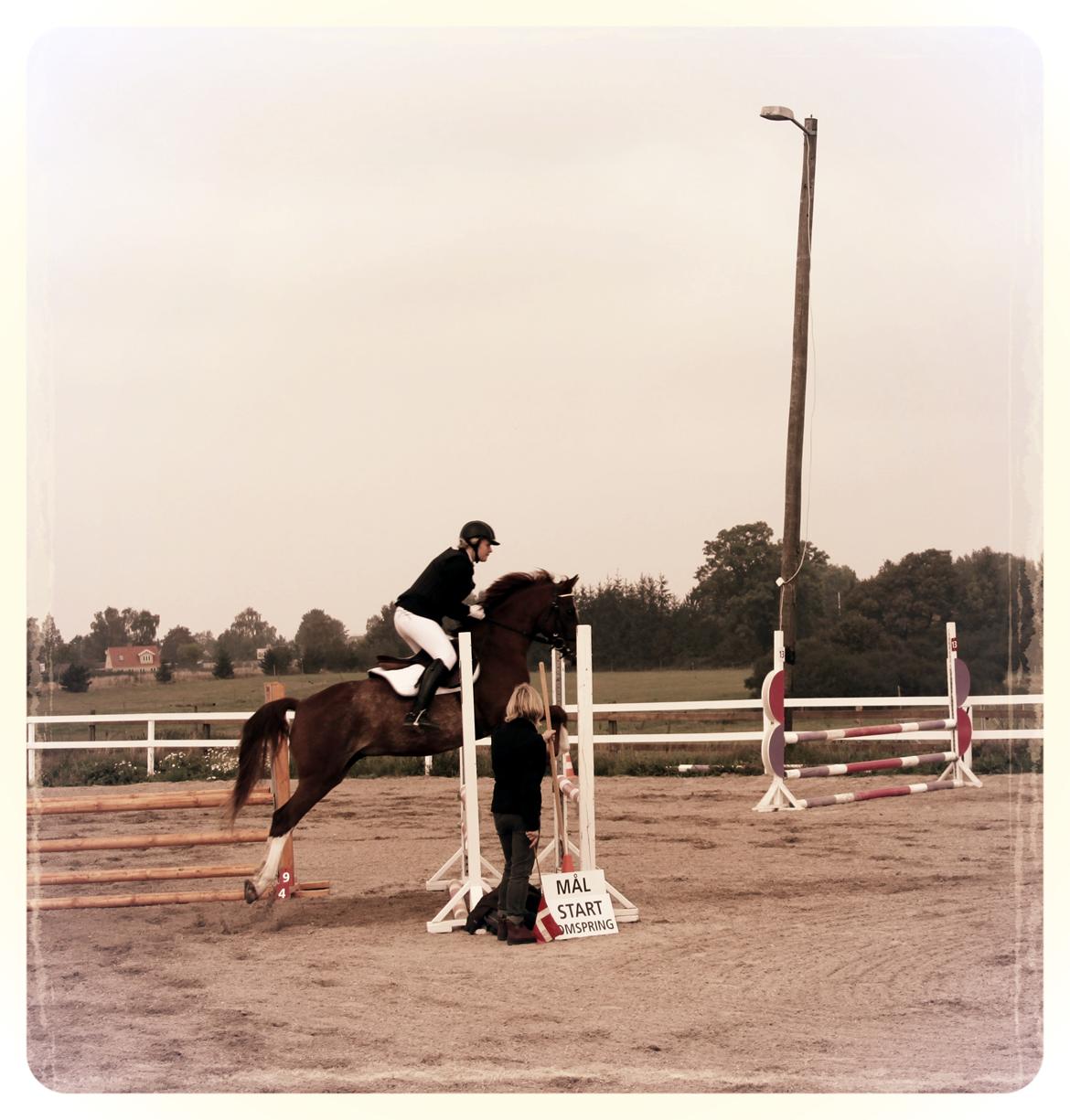 DSP Stenbakkegårds hoopers creek billede 11