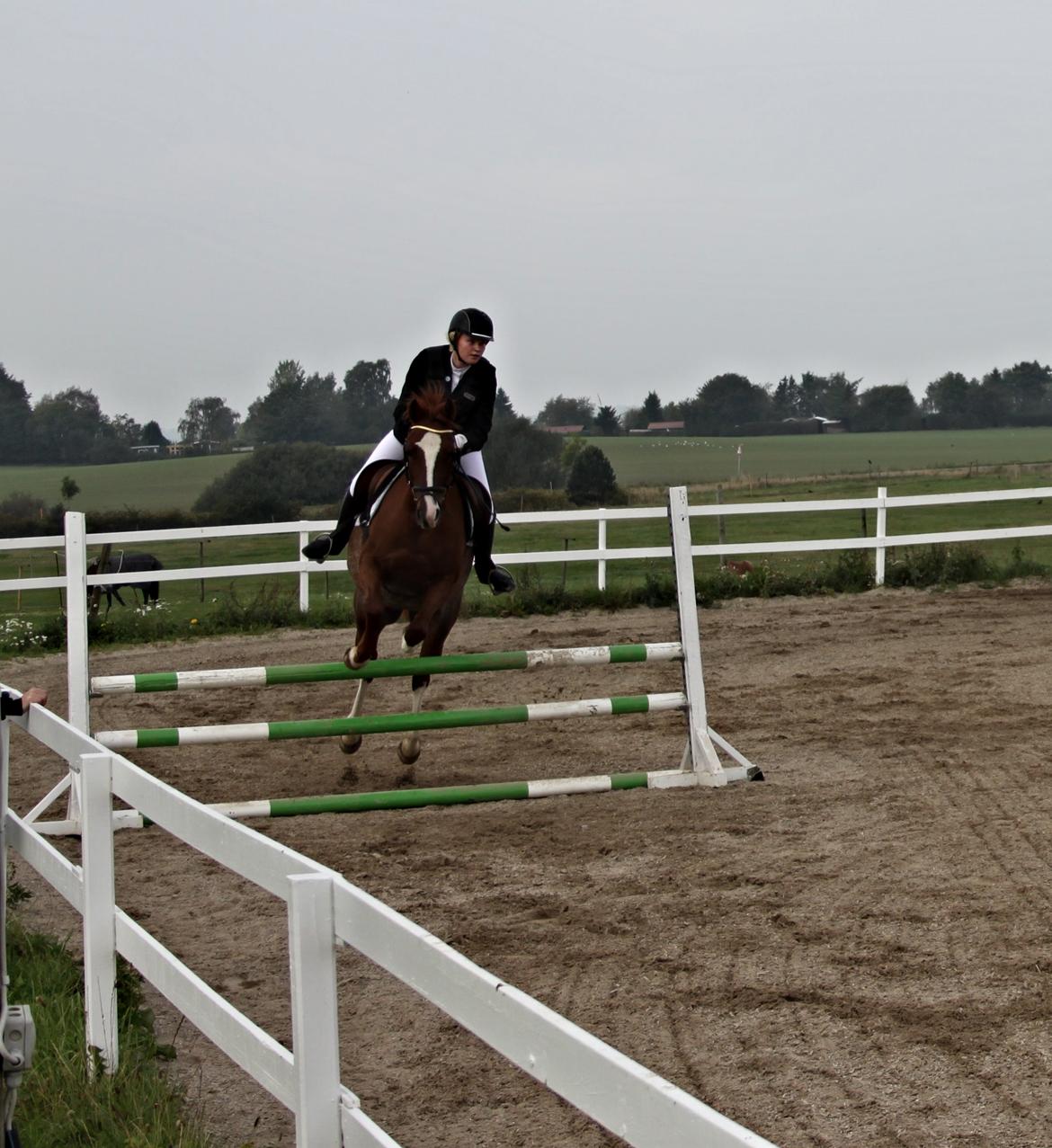 DSP Stenbakkegårds hoopers creek billede 13