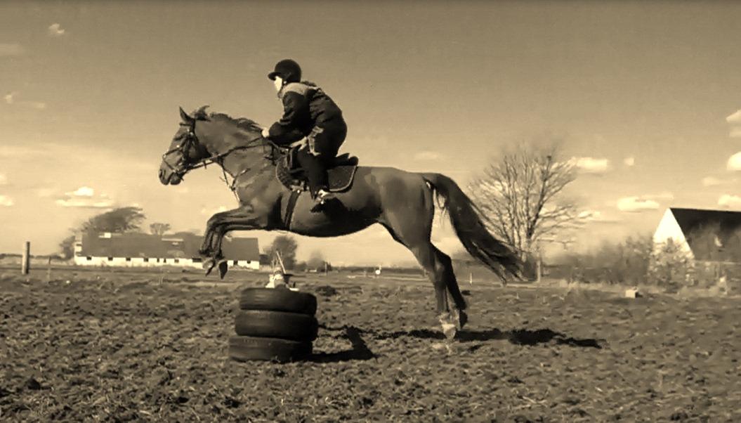 Fuldblod (XX) Jasmin - jassy d 28/4 13 billede 3