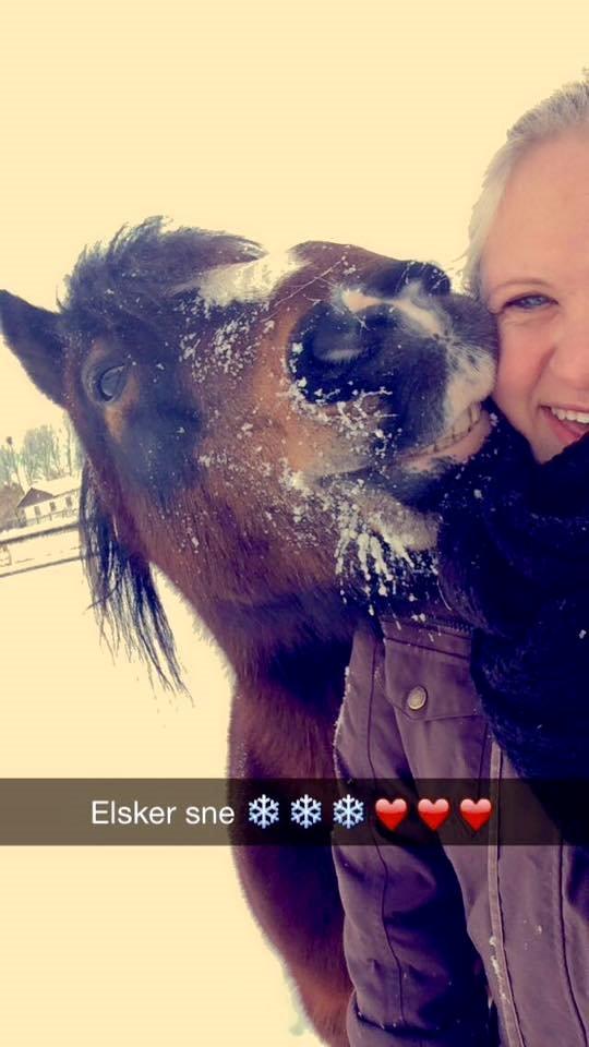 Dartmoor Manze af Vejlebro - Lille ismule <3 billede 16