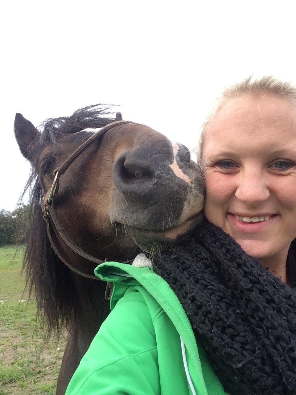 Dartmoor Manze af Vejlebro billede 18