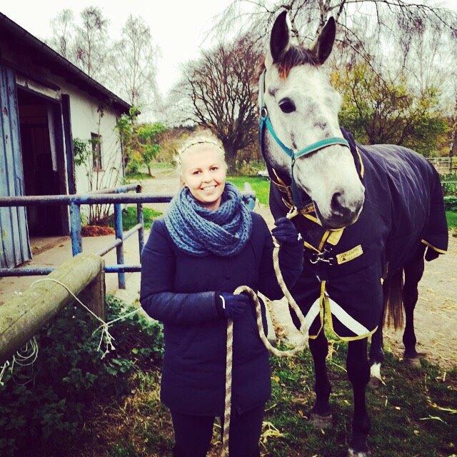 Dansk Varmblod Sortebjergs Cacharel billede 5