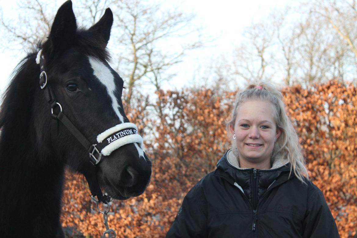 Anden særlig race Queen billede 9