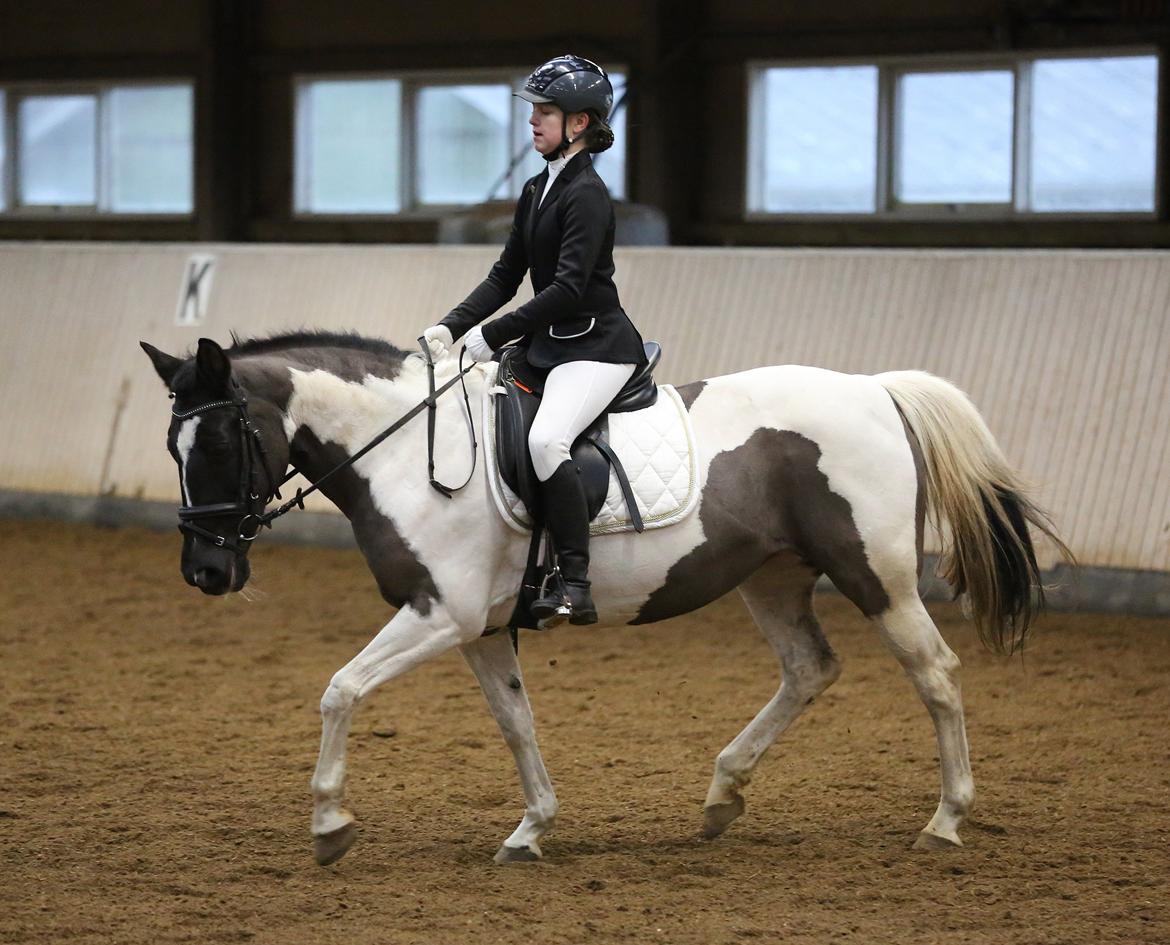 Anden særlig race Fie billede 1