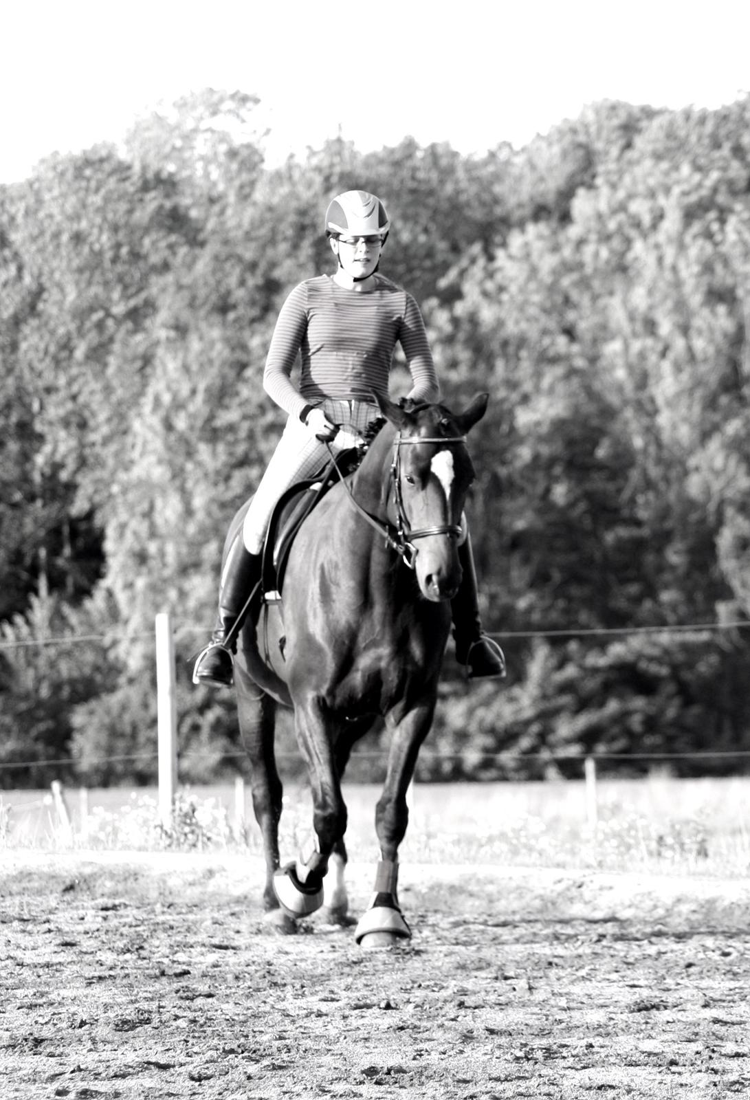 Trakehner Beautyful Diva - Dressurtræning - September 2014 - Fotograf : Mor billede 13