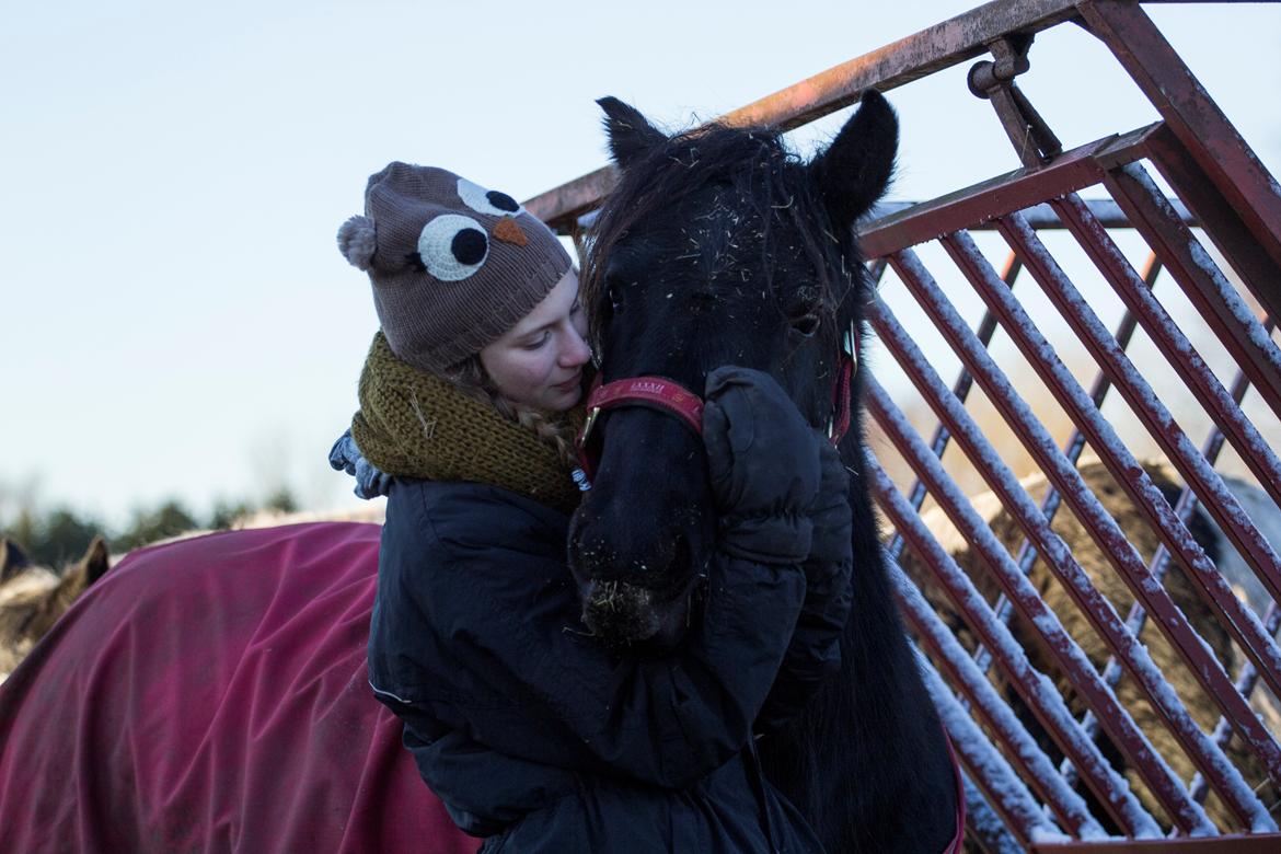 Fell pony | Lobke van de Koekoekshof [Lobby] - Forever in my heart ♥ December 2014 | Foto: LV foto billede 1