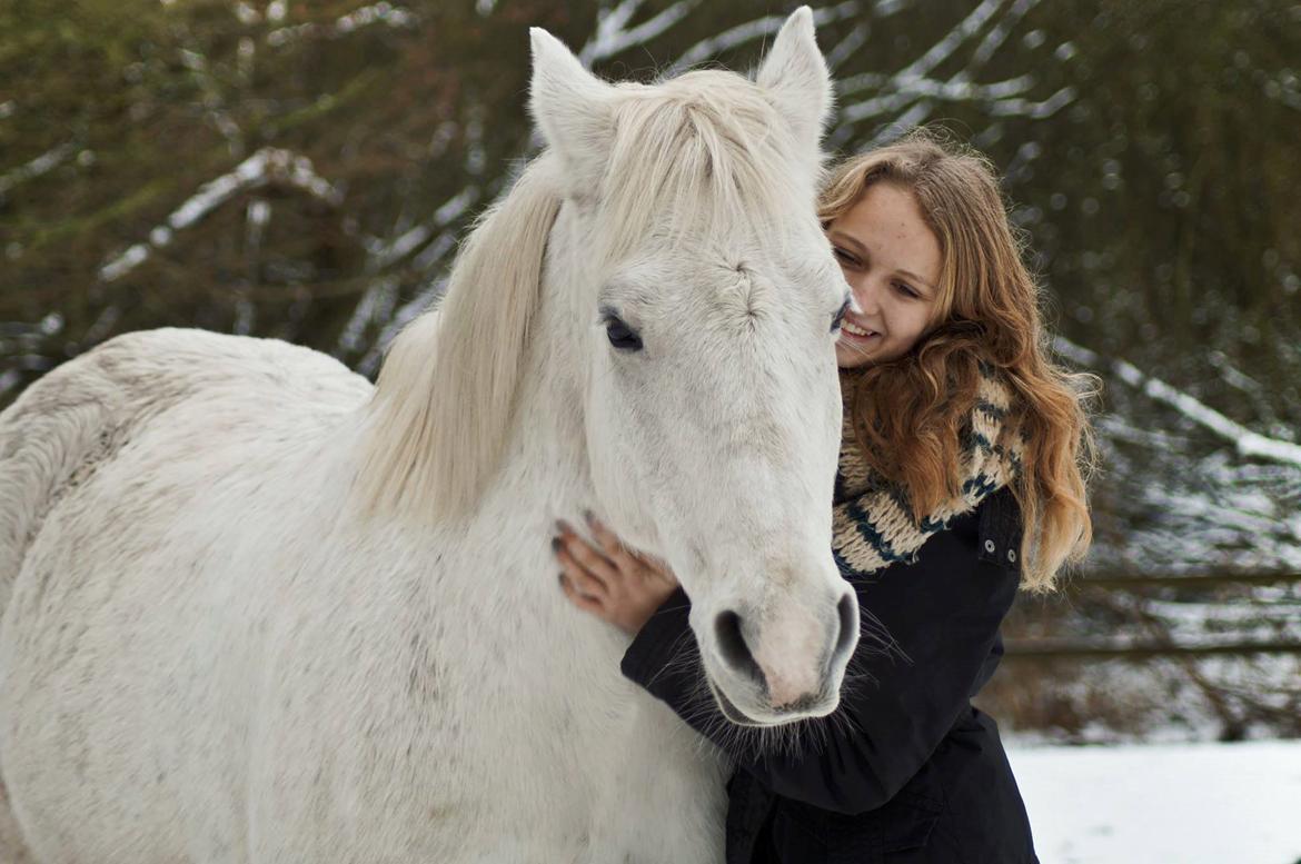 Anden særlig race Laura *Lånehest billede 17