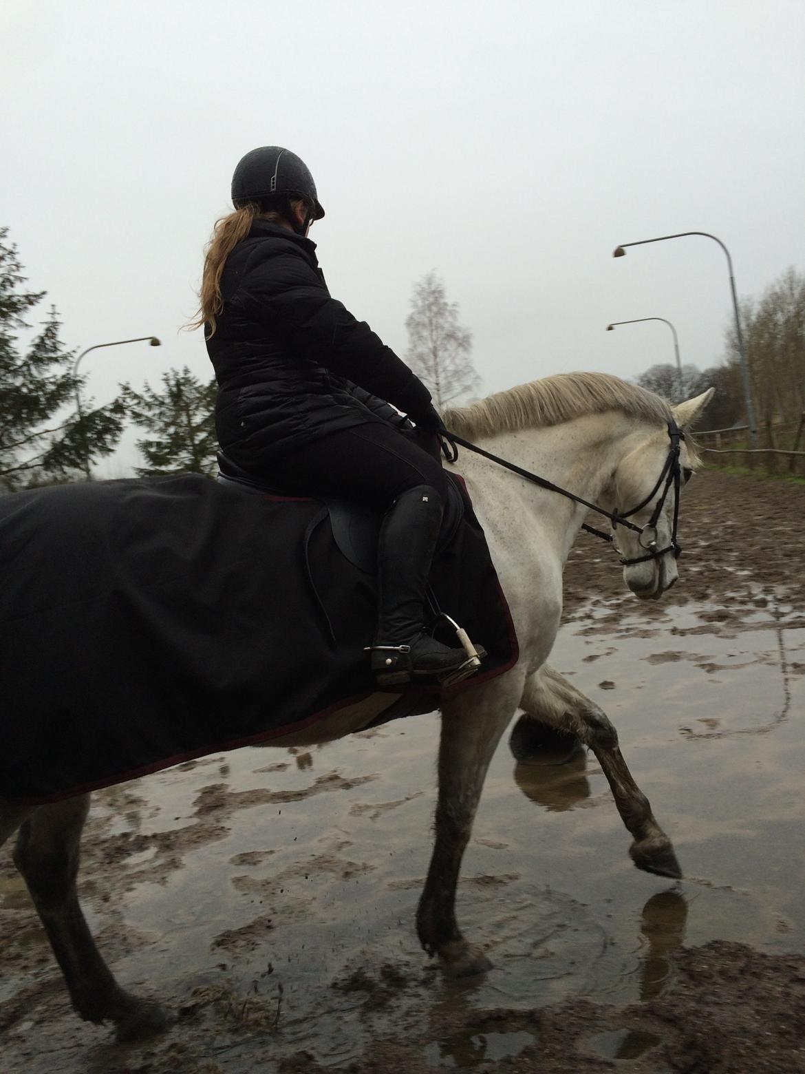 Anden særlig race Cassie fleur (RIP) billede 16