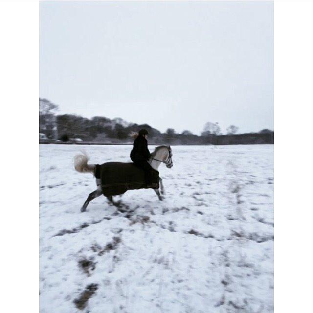 Anden særlig race Cassie fleur (RIP) billede 18