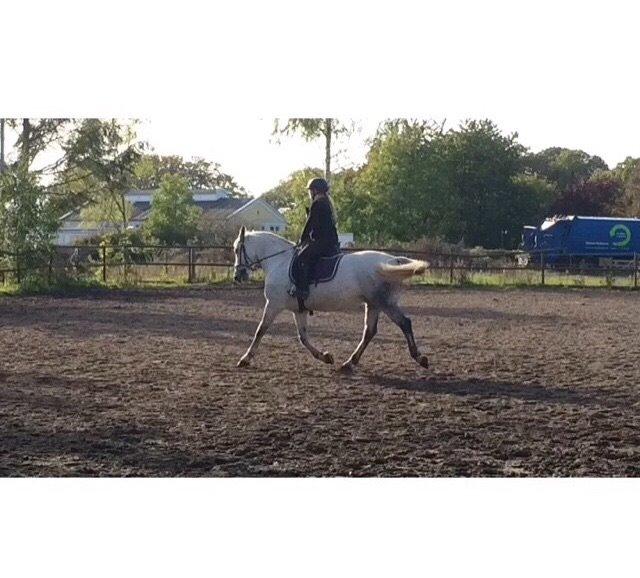 Anden særlig race Cassie fleur (RIP) billede 19