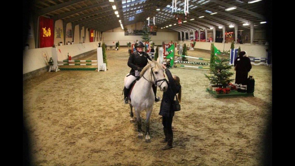 Anden særlig race Cassie fleur (RIP) billede 20