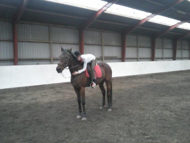 Traver nolo billede 5