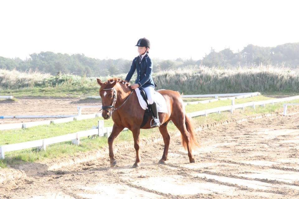 Anden særlig race Redstar - Første dressurstævne på ham xD men 1 plads!<3 billede 7