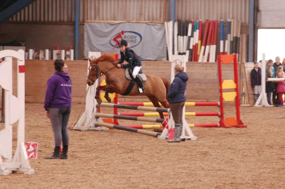 Anden særlig race Redstar billede 10