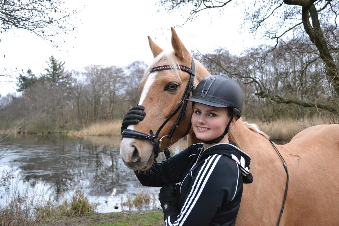 Anden særlig race GOLDEN DANCER (Lille Mus) billede 1