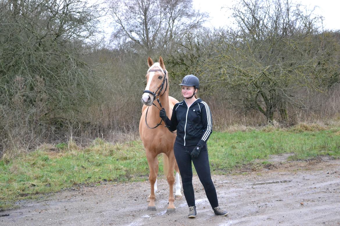 Anden særlig race GOLDEN DANCER (Lille Mus) billede 2