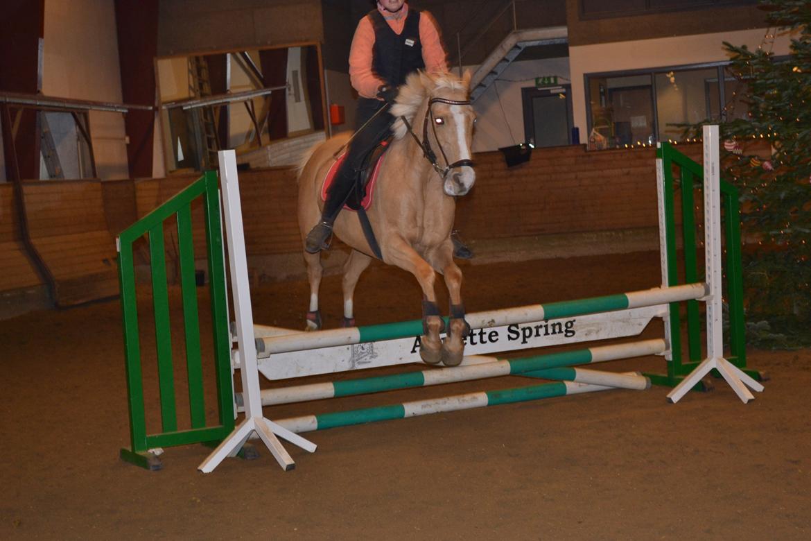 Anden særlig race GOLDEN DANCER (Lille Mus) billede 4