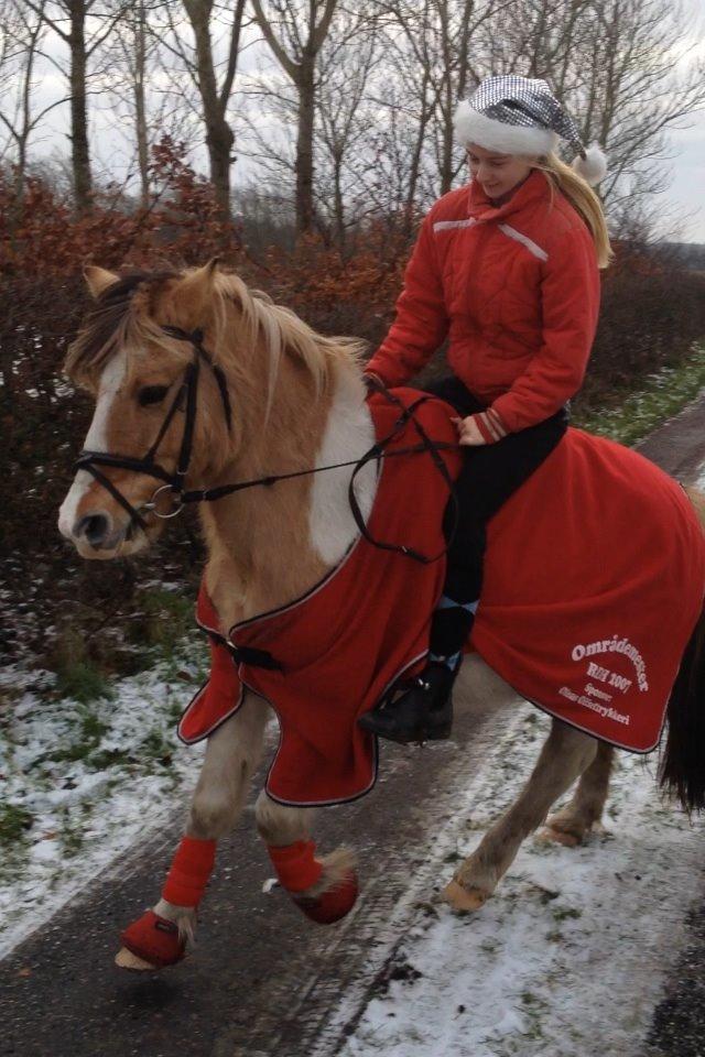 Anden særlig race Alexandra <33 billede 19