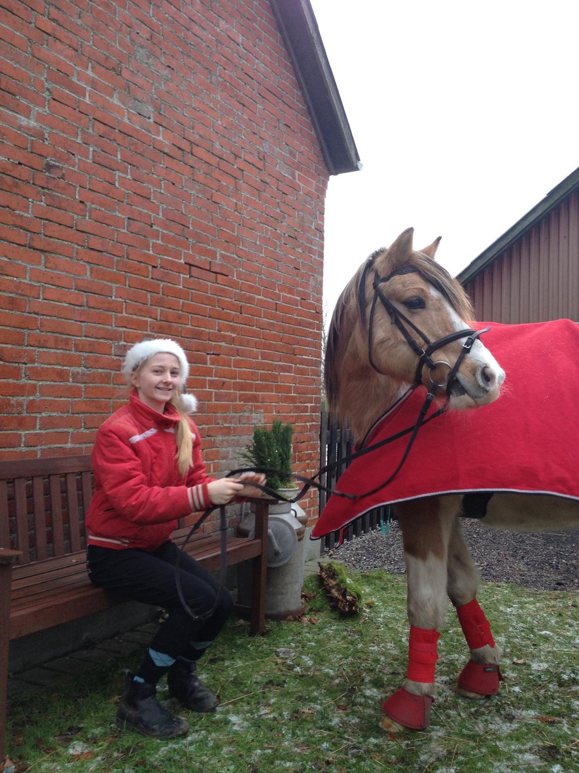 Anden særlig race Alexandra <33 billede 20