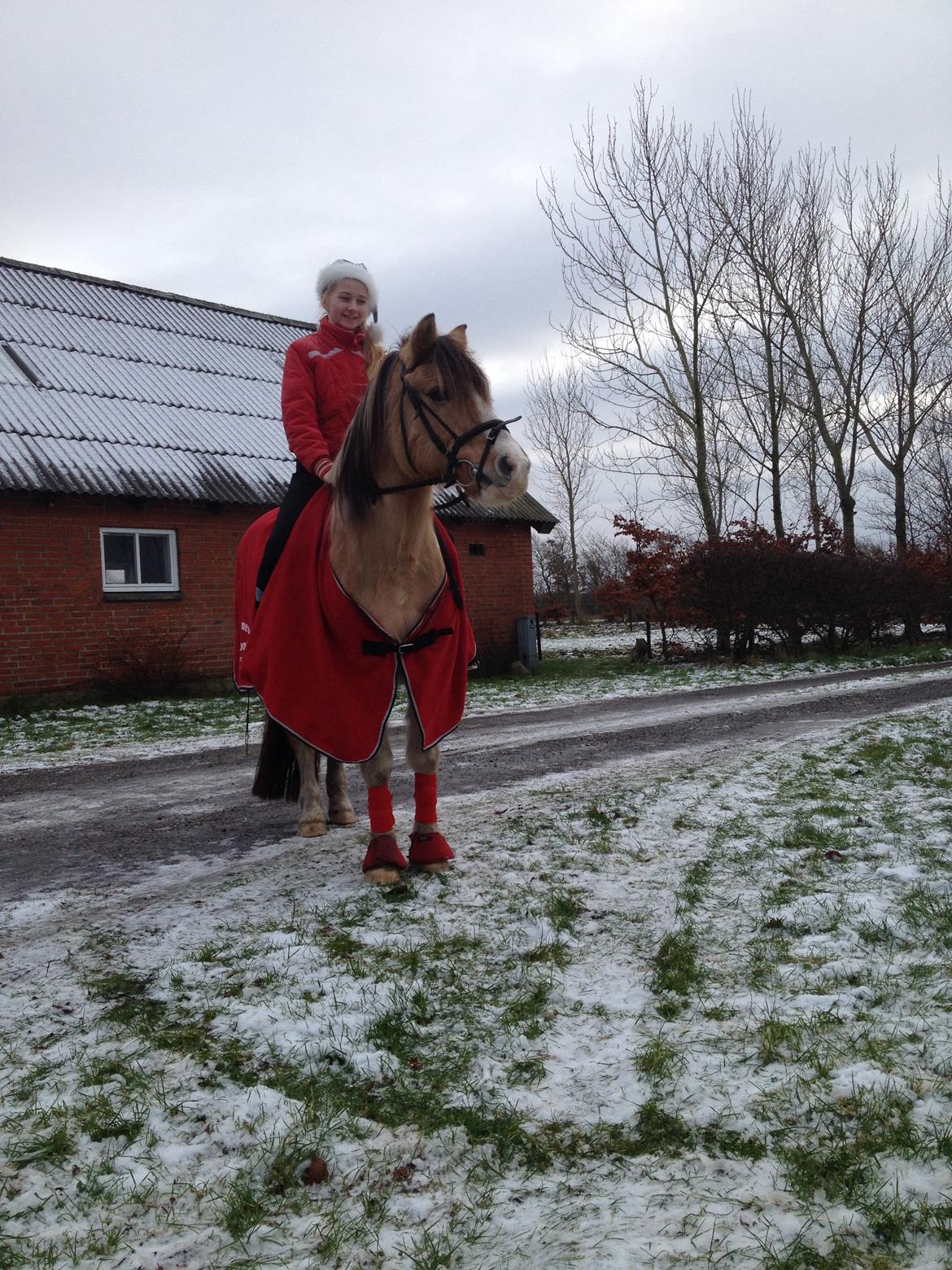 Anden særlig race Alexandra <33 billede 21