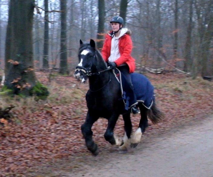 Tinker Major Mentz - hopla i efterårsskoven billede 8