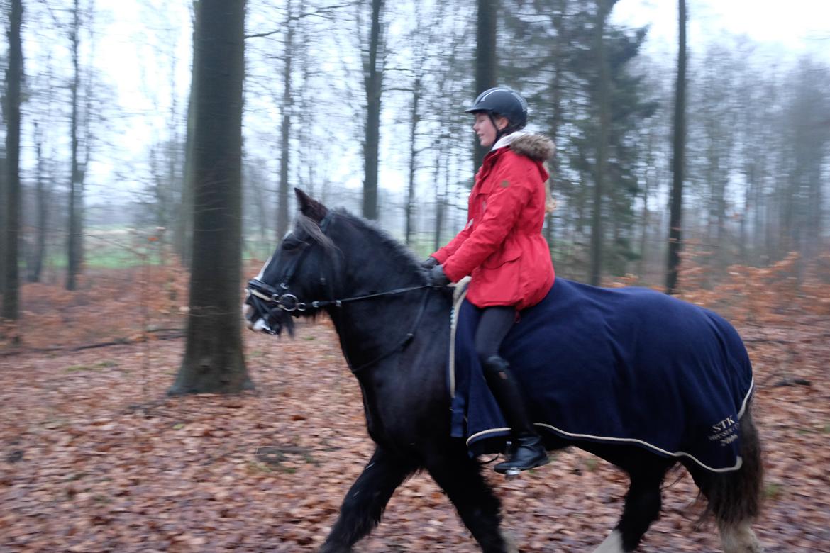 Tinker Major Mentz billede 12