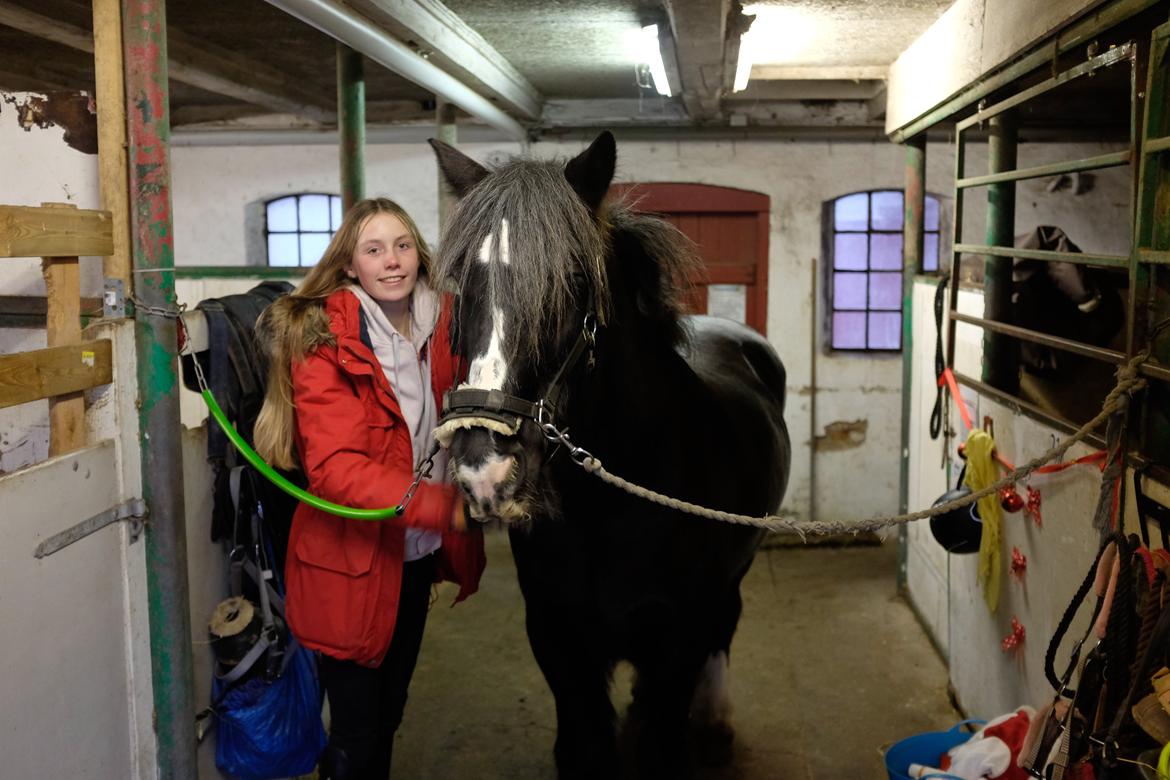 Tinker Major Mentz billede 15