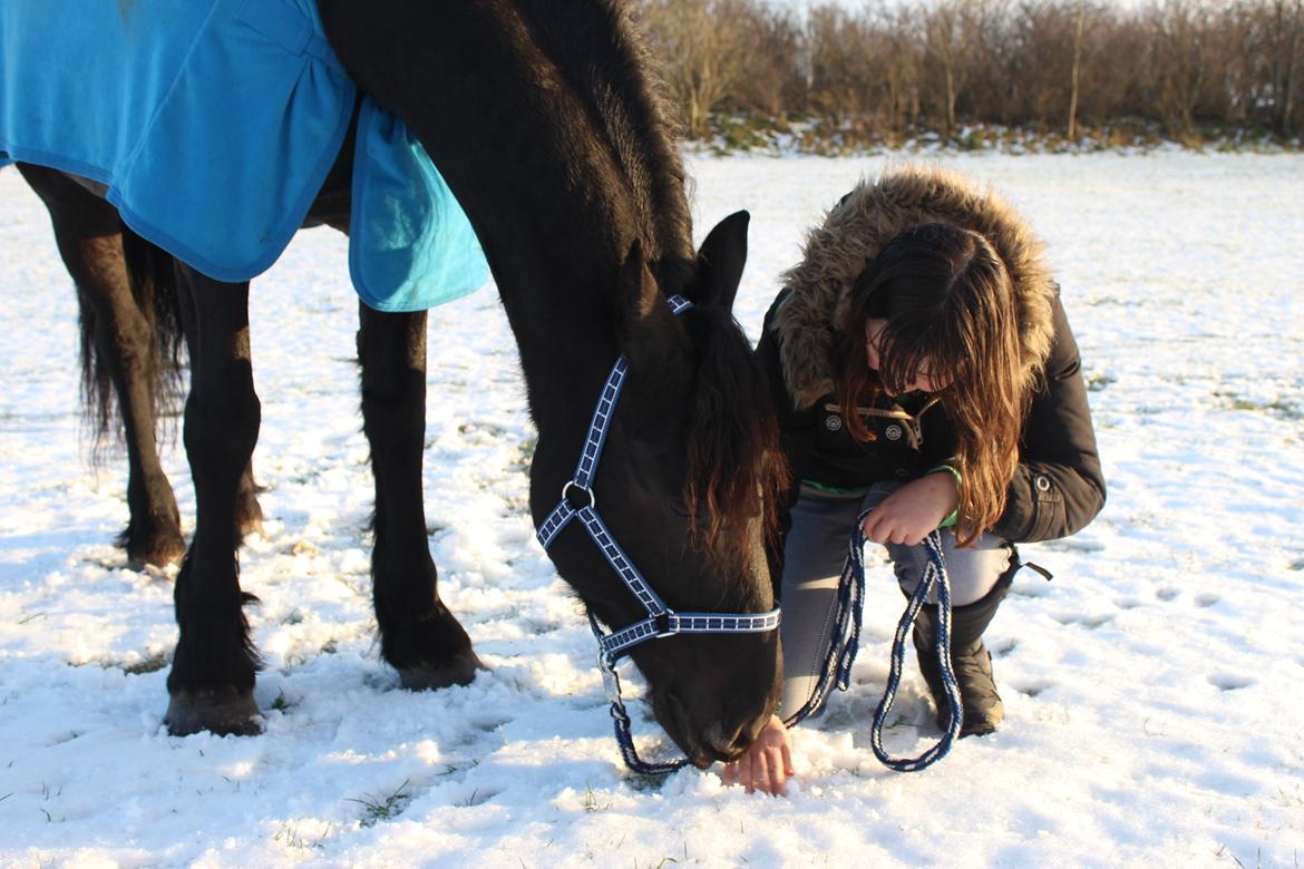 Frieser Marijke G R.I.P - Bedste venner forevigt og altid <3 :* billede 17