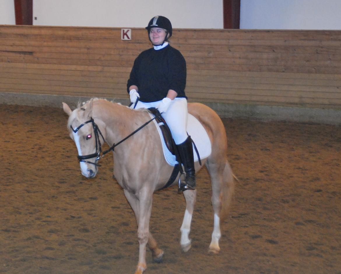 Anden særlig race Golden dancer - opvarmning til LD1 :) billede 14