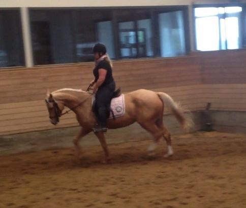 Anden særlig race Golden dancer - Første part dag med hende :-) billede 5