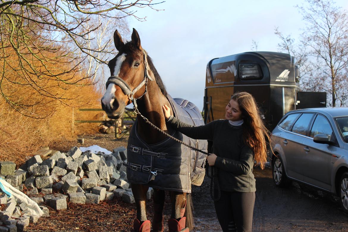 Holstener Wivara II billede 11