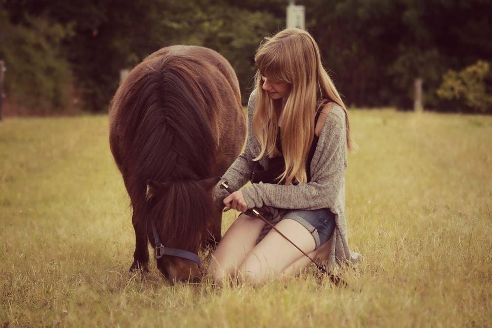 Anden særlig race Tulle (Trold) billede 3