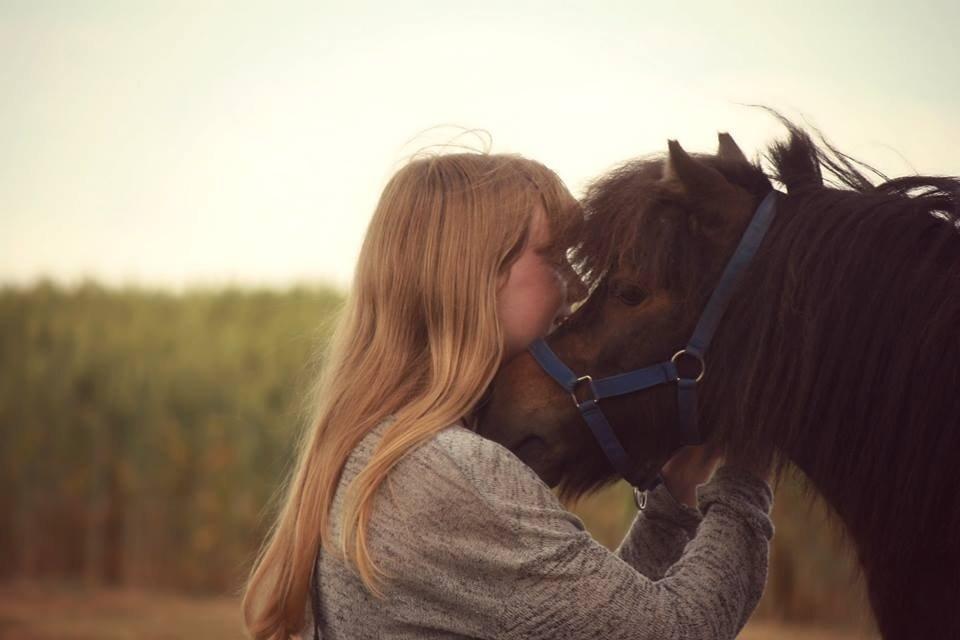 Anden særlig race Tulle (Trold) billede 15