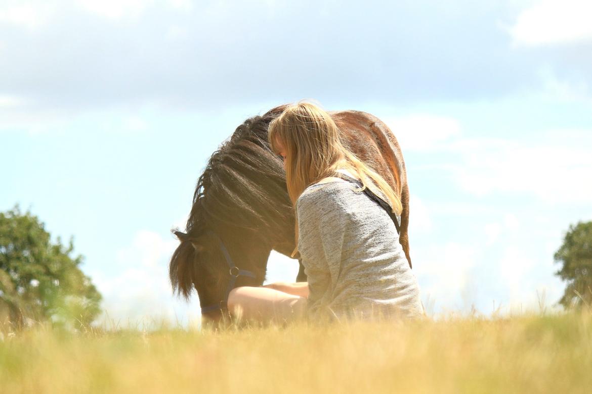 Anden særlig race Tulle (Trold) billede 8