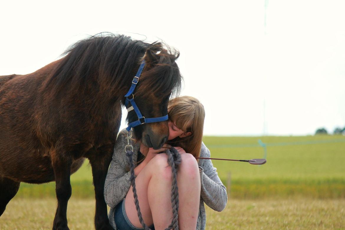 Anden særlig race Tulle (Trold) billede 12