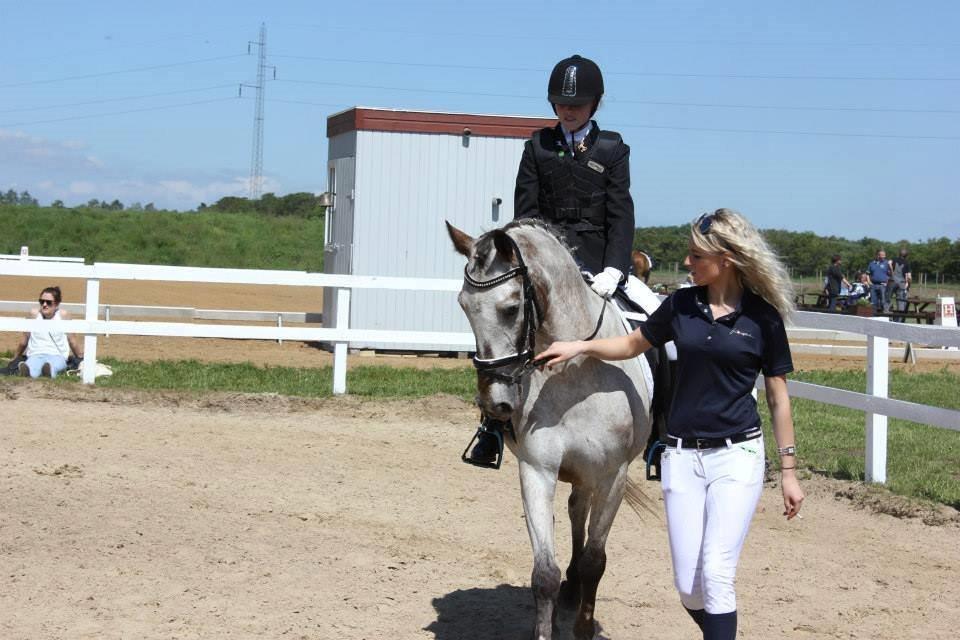Knabstrupper Rufus den almægtige billede 15