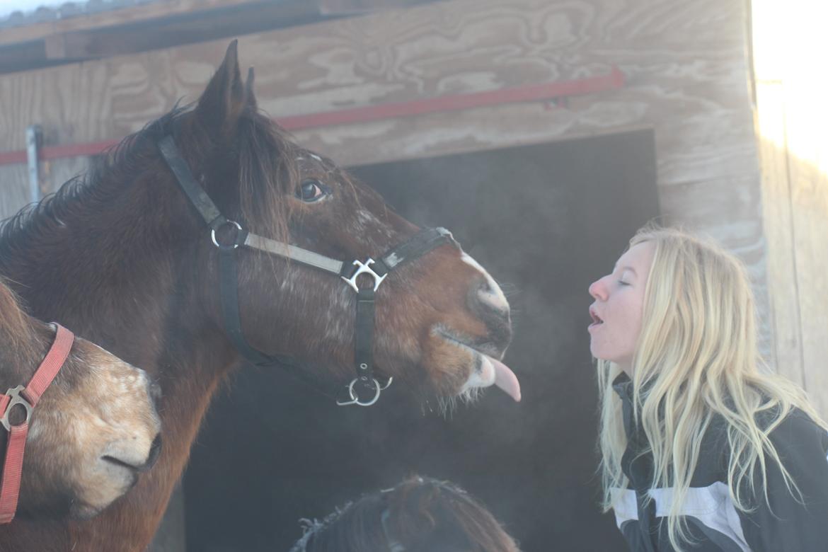 Pinto Rugholms Fire billede 5