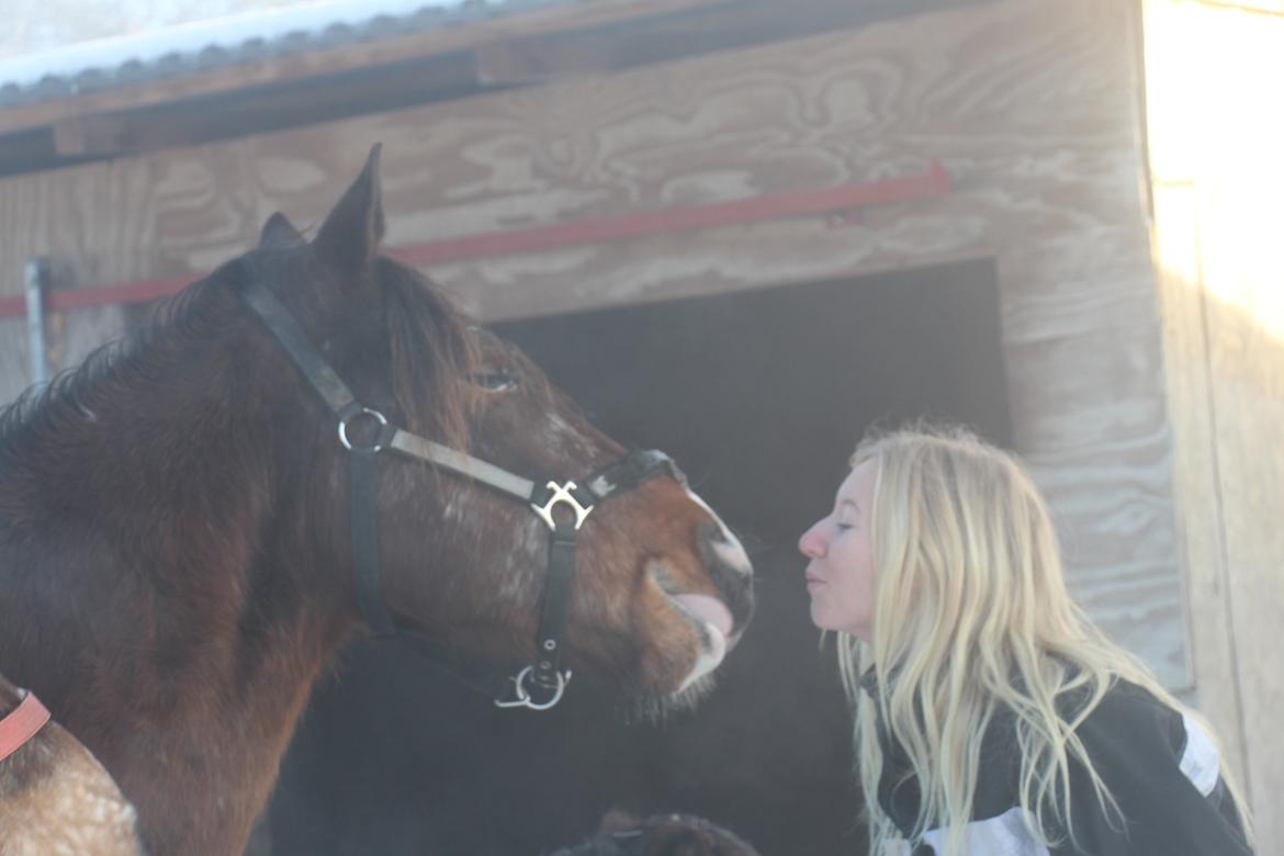 Pinto Rugholms Fire billede 6