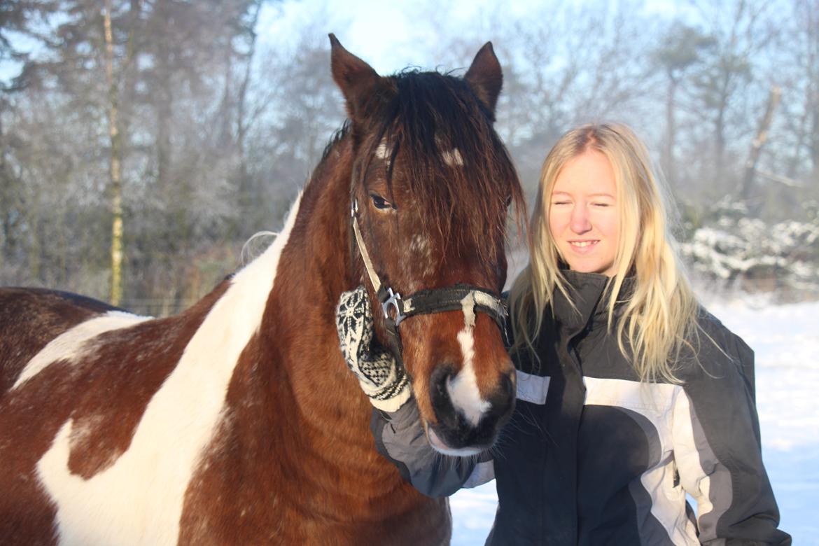 Pinto Rugholms Fire billede 8