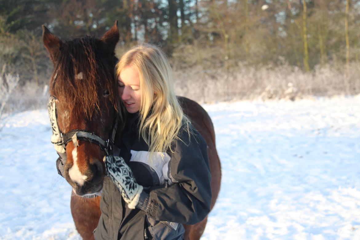 Pinto Rugholms Fire billede 12