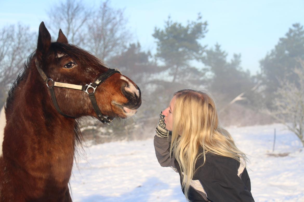 Pinto Rugholms Fire billede 7