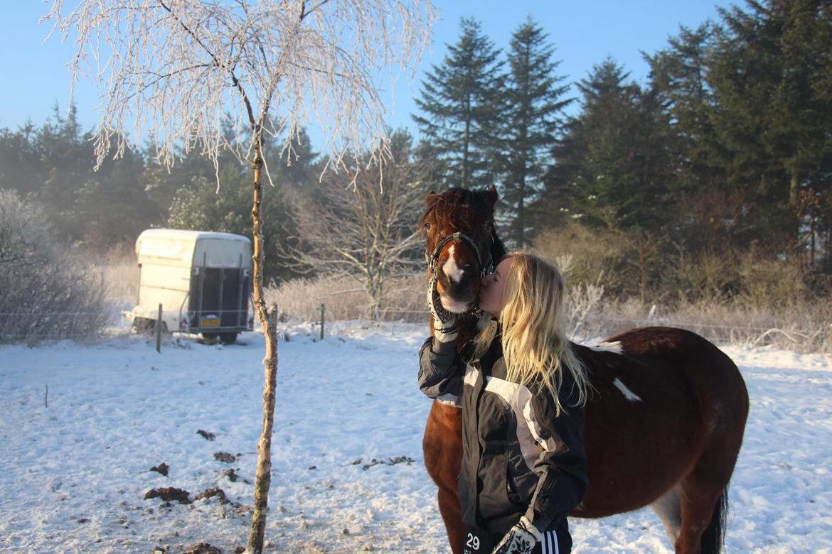 Pinto Rugholms Fire billede 4