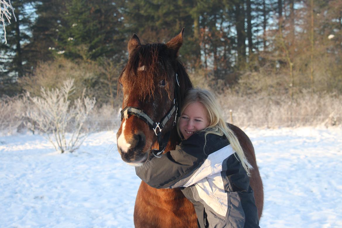 Pinto Rugholms Fire billede 9