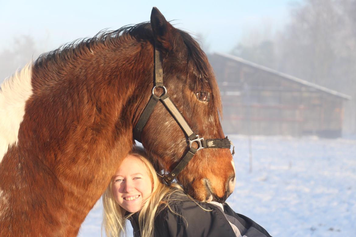 Pinto Rugholms Fire billede 10